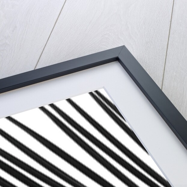 Palm tree leaf by Assaf Frank